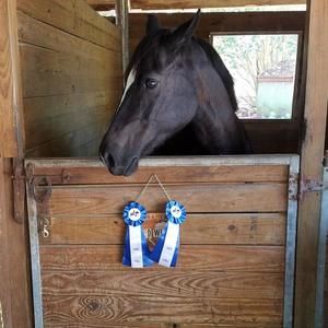 Meet your Posher, Shane